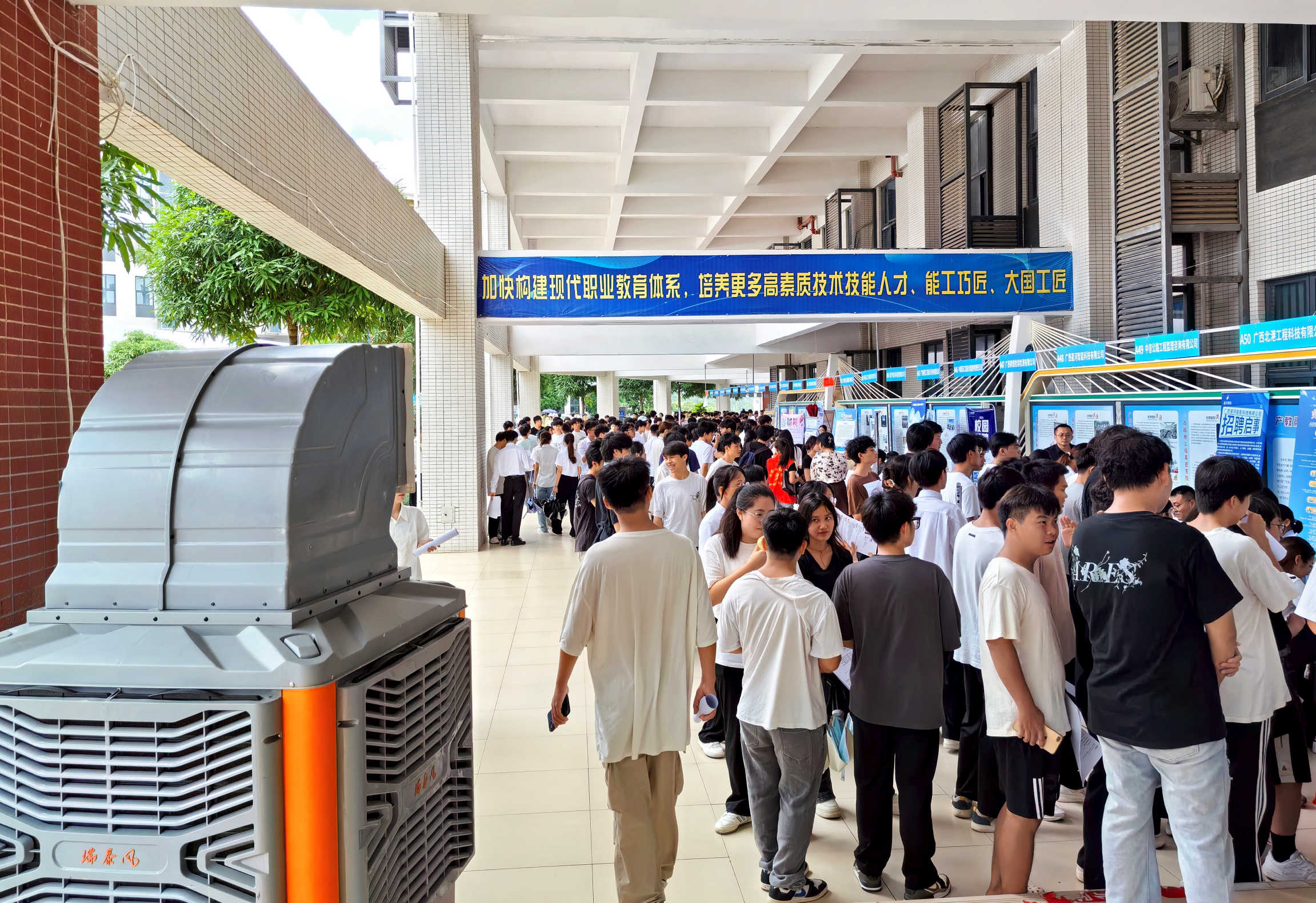 桐花万里：瑞泰风为青春与梦想护航